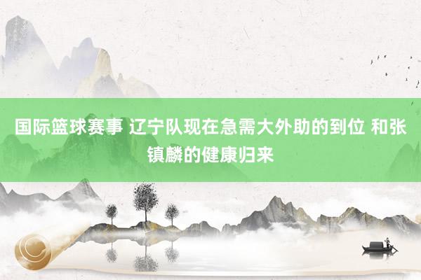 国际篮球赛事 辽宁队现在急需大外助的到位 和张镇麟的健康归来