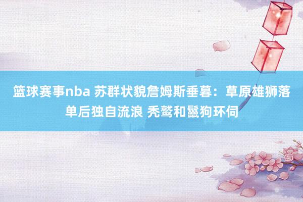 篮球赛事nba 苏群状貌詹姆斯垂暮：草原雄狮落单后独自流浪 秃鹫和鬣狗环伺