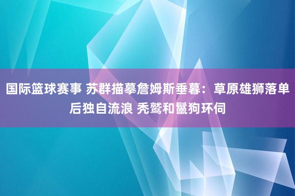 国际篮球赛事 苏群描摹詹姆斯垂暮：草原雄狮落单后独自流浪 秃鹫和鬣狗环伺